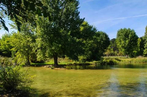 A green pond with trees in the background Stock Photos