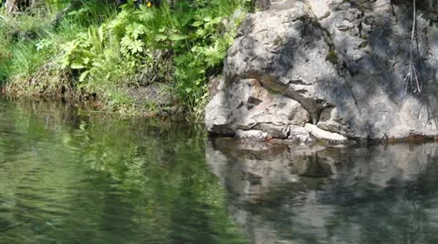 Green Pool in Iceland - 2 Stock Footage 12415341