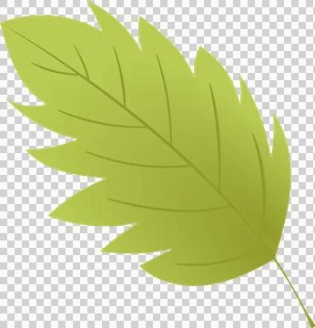 Green poplar leaf, basil, birch, peppermint, eco green icon, hemp emblem, g.. Stock Illustration