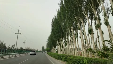 Green Poplars Along Mountain Road Between Kashgar and Taxkorgan, Xinjiang Stock Footage 339804694