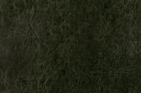 Green porous leather sheet Stock Photos