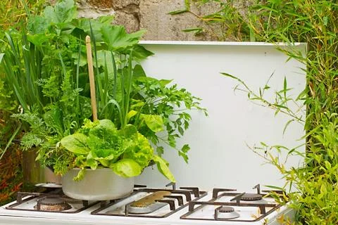 Green Pot Stock Photos