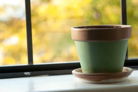 Green Pot On Windowsill Stock Photos