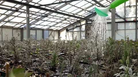 Green Practical Watering Sprinkler Stock Footage 183306160