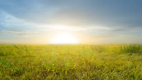 Green prairie at the sunset Stock Footage 154048930