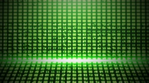 Green Programming HEX Code Stockbeeldmateriaal 101052056