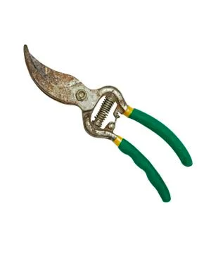 Green pruning shears, garden secateurs or hand pruners are garden tools used  Stock Photos