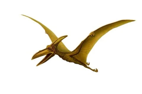 Green pterodactyl Stock Illustration