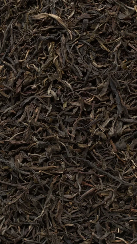 Green Pu Erh background. Vertical video. Stock Footage 277279297