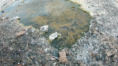 Green puddle water pool at salt lake desert Chile. San Pedro De Atacama 스톡 동영상 93848082