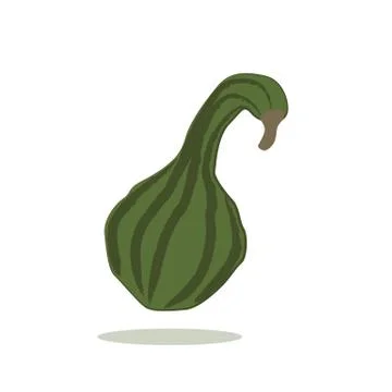 Green pumpkin isolated on white background Stock-Illustration