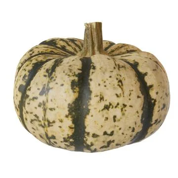Green Pumpkin. Isolated on white background. 3D realistic render Stock-Illustration