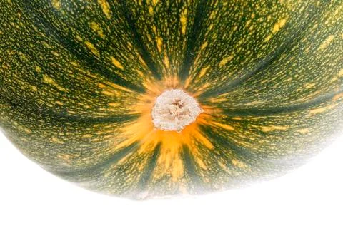 The green pumpkin 스톡 사진