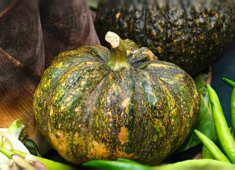 Green pumpkin Stock Photos