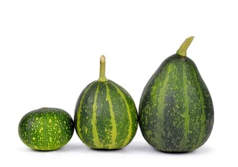 Green pumpkin Stock Photos