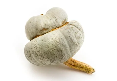 Green pumpkin Stock Photos