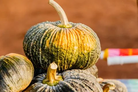 Green pumpkin Stock Photos