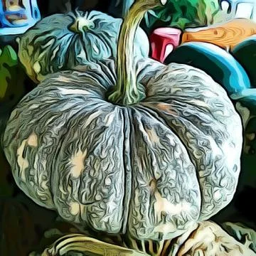 Green pumpkin Stock Photos