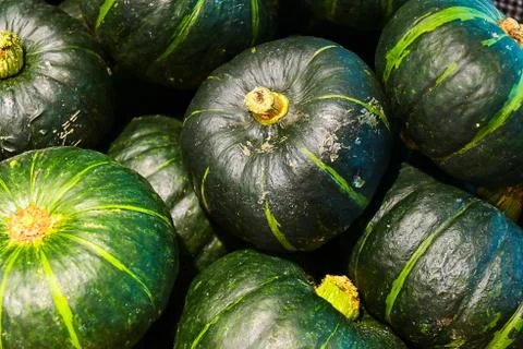 Green pumpkins Stock Photos