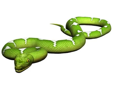 Green python 스톡 일러스트
