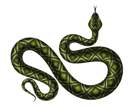 Green python top view realistic vector illustration Stock Illustration