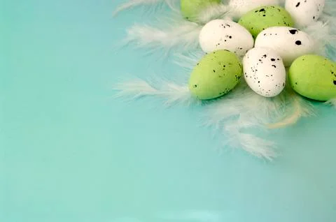 Green quail eggs on feathers, angle composition, happy easter banner, greeting Stock Photos