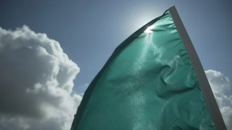 Green Racing Flag Blowing in the Wind Video stock 120149660