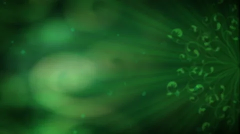 Green Radiance 1080  background Stock Footage 50694317