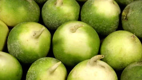 Green radish rotation background Stock Footage 170270842
