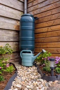 Green rain barrel Stock Photos