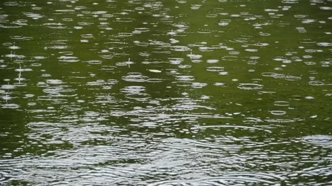 Green rain, circles on water from falling raindrops Stock Footage 301506705