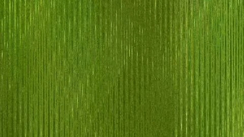 Green rain-like digital rain effect. Abstract futuristic background for Stock Illustration