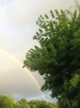 Green with rainbow Stock Photos