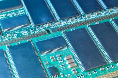 Green RAM Stock Photos