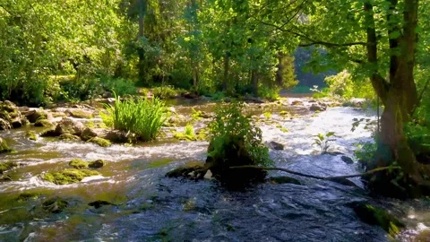 Green rapids Stock Footage 157371228