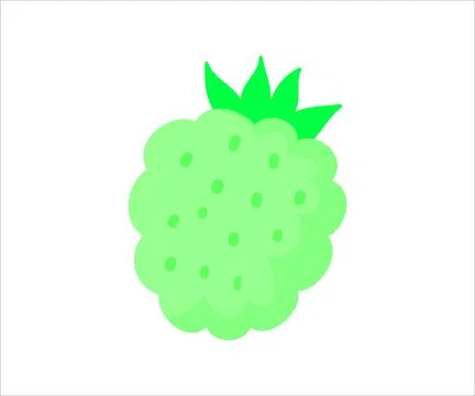 Green Raspberry Fruit Vector Illustration Stock Illustration