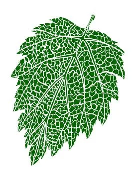 Green Raspberry Leaf Print for Diaries, botanical illustrations, pharmacies Stock Illustration