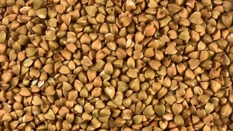 Green Raw Dried Buckwheat Close-up Rotates Clockwise Video stock 131415254