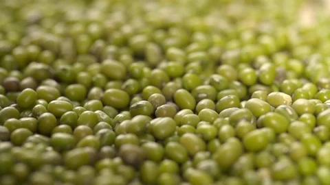 Green Raw Lentils Falling pouring Slow Motion background video Stock Footage 111802714
