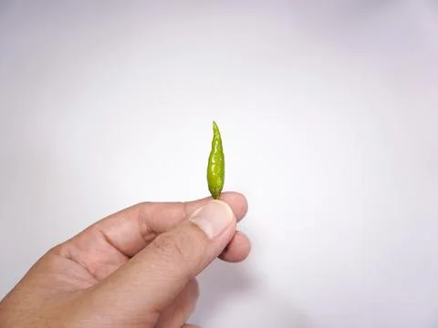 Green rawit peppers Foto stock