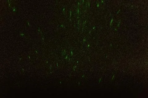 Green rays, lightning and glitter on a black background Stock Photos