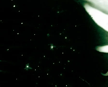 Green Reaction Видео 105009