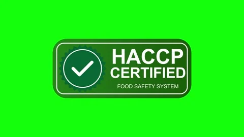Green Rectangular HACCP Certified Food Safety System Badge Stock Footage 322791557