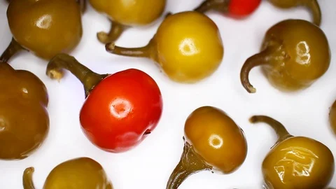 Green red cherry pepper rotating seamless looping food texture pattern close up Stock Footage 103084226