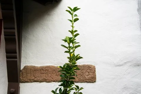 Green on red Stock Photos