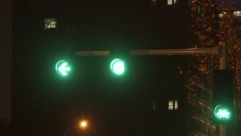 Green to Red Traffic Lights Switching Left Arrow at Night Vídeos de archivo 334647021