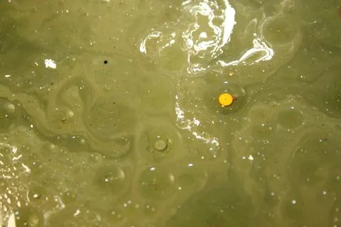 Green Red Yellow Bubbles Effects image Creative Mixing surface イラスト素材