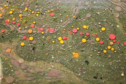 Green Red Yellow Bubbles Effects image Creative Mixing different surface Illustrazione stock