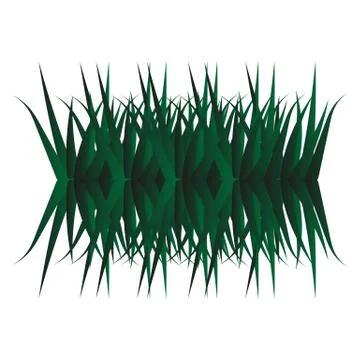 Green reeds grass reflected isolated in white. Stock Illustration