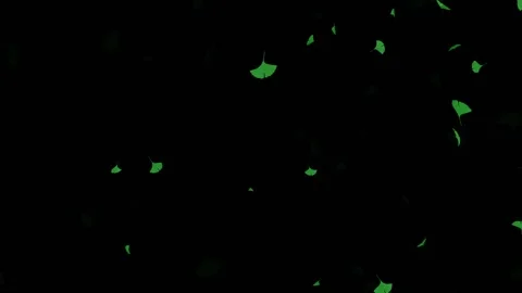 Green reef particle animation Stock Footage 146000164